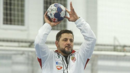 Svédországi döntetlennel mutatkozott be Ljubomir Vranjes a magyar kispadon (Kézilabda)