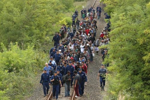 Migránssimogatók (Párizsi levelek)