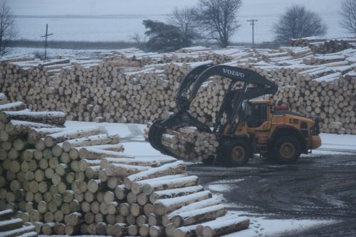 Többletet találtak a Schweighofernél