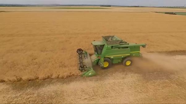 Várhatóan visszaesik a növény- és állattenyésztés Európában (VIDEÓ)