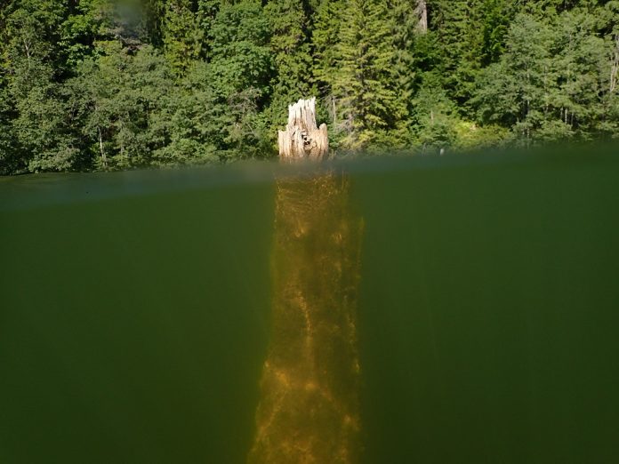 Erdő a víz alatt – Megmutatjuk alulnézetből a székelyföldi Gyilkos- és Szent Anna-tavakat