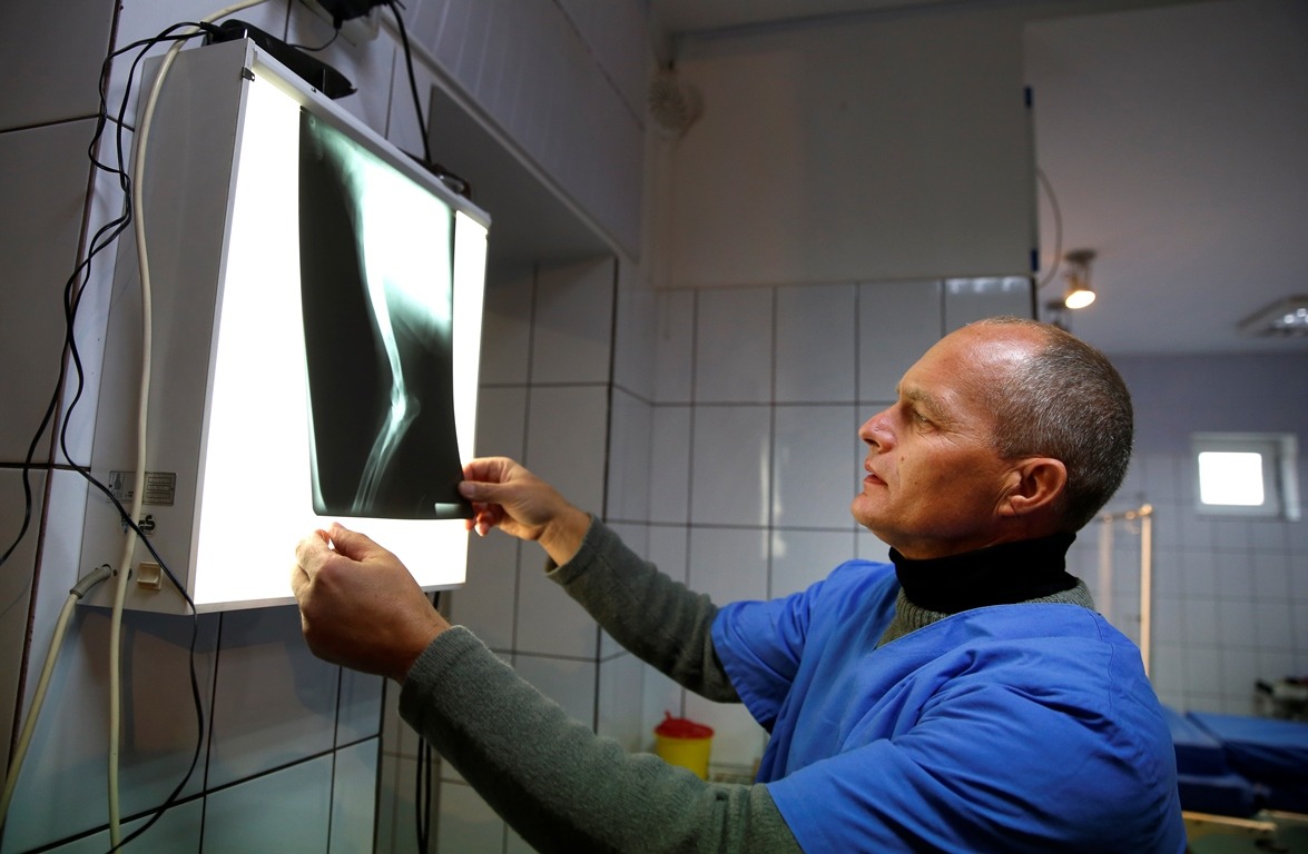 Felelős állatvédelemre oktat a székely lógyógyász