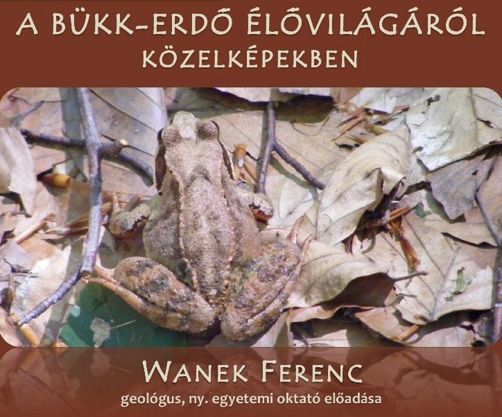 A Bükk-erdő élővilágáról közelképekben – Wanek Ferenc előadása (Kolozsvár)