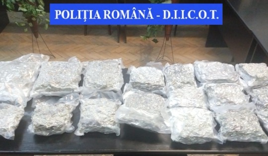 Drogcsempészet miatt őrizetbe vettek egy férfit az Arad megyei Tornyán; 8 kg kannabiszt próbált behozni az országba