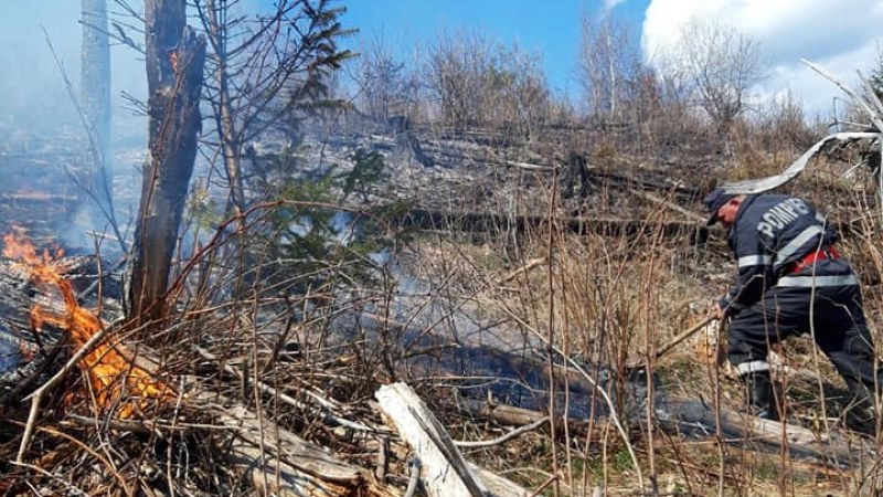 Ismét gondot okozott a felelőtlen tarlóégetés (Hargita megye)