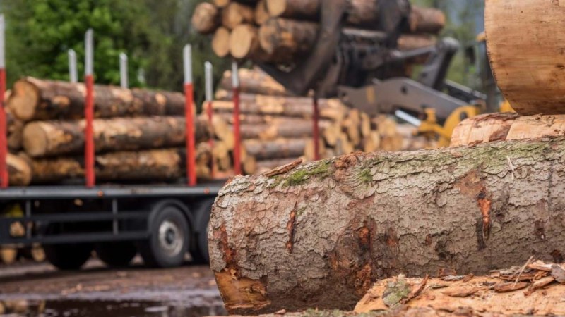 A képviselőház elfogadott egy törvényt, amely tíz évre megtiltja a rönkfa kivitelét az EU-n kívüli országokba