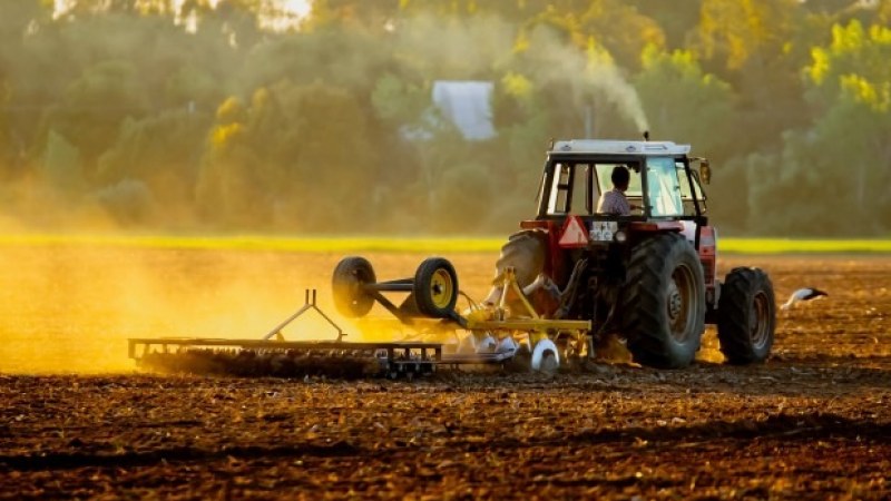Kifizették a székelyföldi de minimis mezőgazdasági program pályázóit