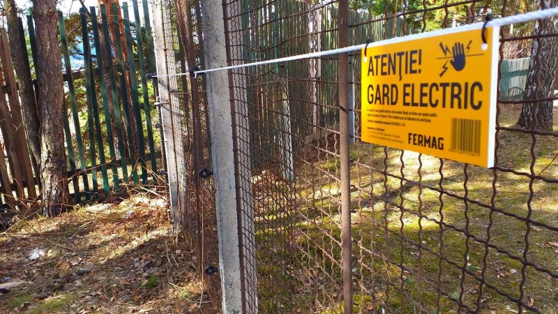 Vigyázzanak a medvékkel és jelentsék a károkat! (Hargita megye)