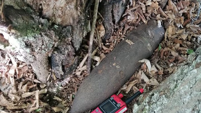 Hargita megye: Második világháborús robbanó lövedéket talált egy férfi a Szentegyháza környéki erdőben