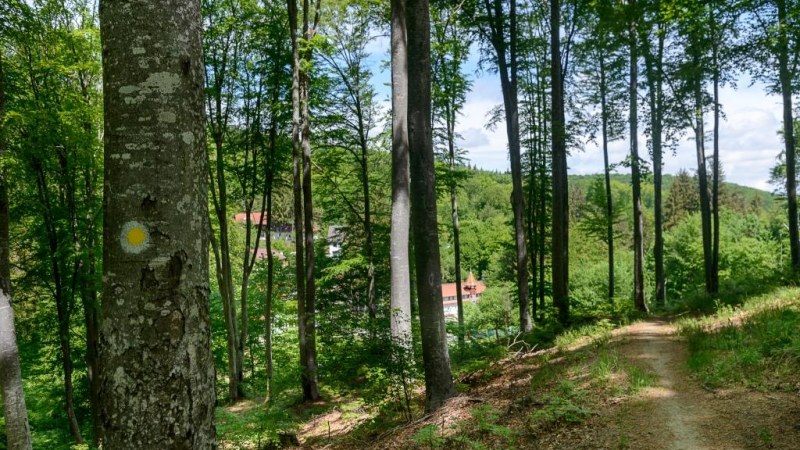 Sugásfürdő, Sepsiszentgyörgy kincset érő üdülőtelepe