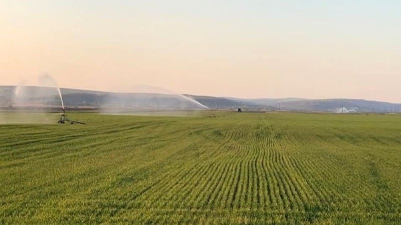 Képviselőház: Illetékmentesen használható öntözésre a talajvíz