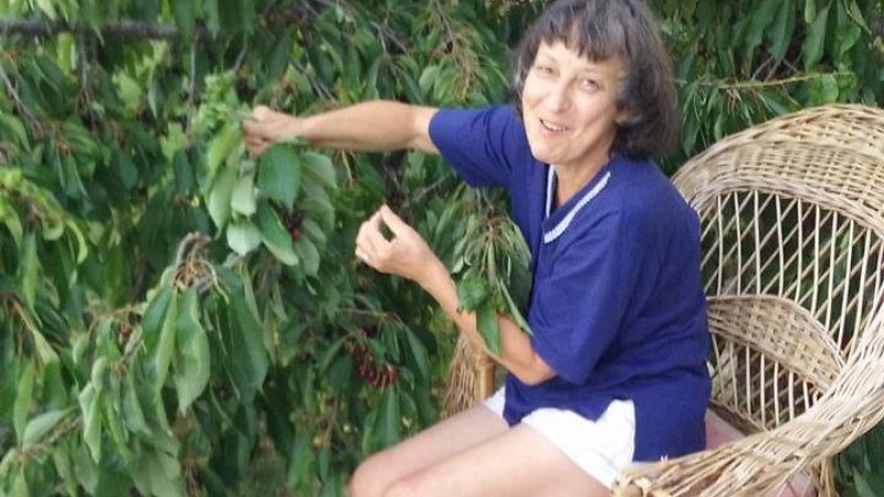 Mezőségi szimfónia