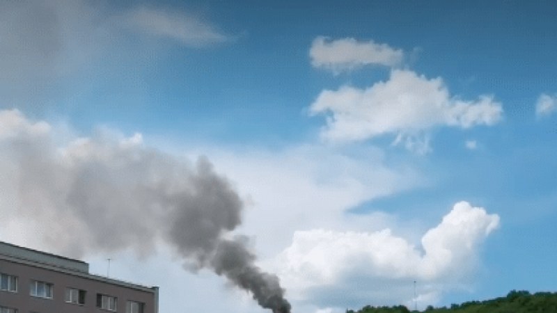 Kigyulladt és teljesen leégett egy faépítmény a kolozsvári Hója-erdőben