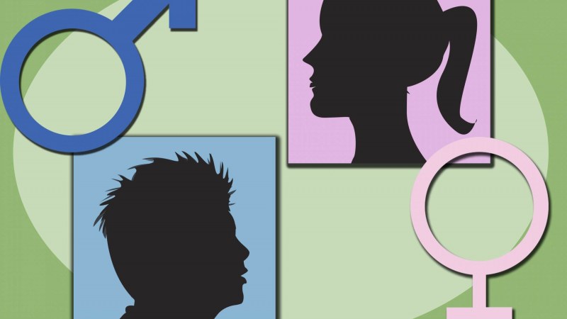 A román szenátus megtiltotta a genderelmélet oktatását a romániai iskolákban