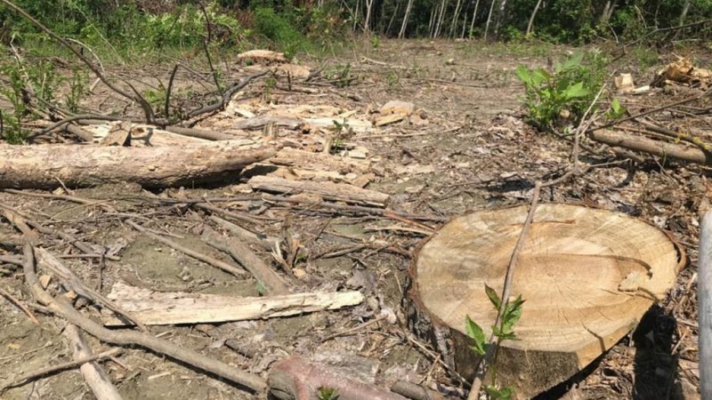 Ünnepelnek, de van mit?