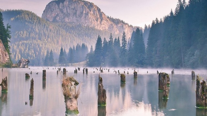 Felszámolja közös cégét Gyergyószentmiklós és Budapest V. kerülete