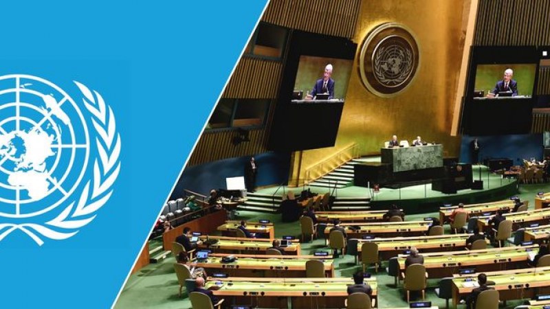 Az ENSZ Európai Regionális Kisebbségi Fórumán vett részt a Mikó Imre Jogvédelmi Szolgálat