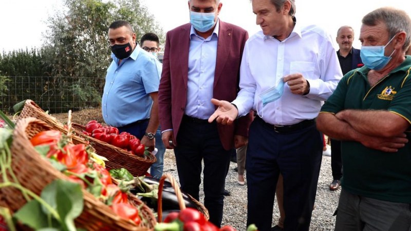 A gazdáknak járó kárpótlások kifizetésének megsürgetését kéri Ciolacu a kormánytól