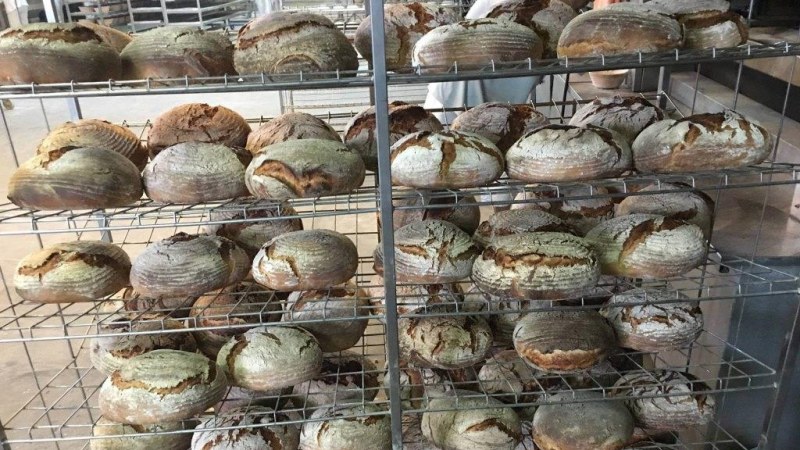 Javult a hazai kenyér minősége