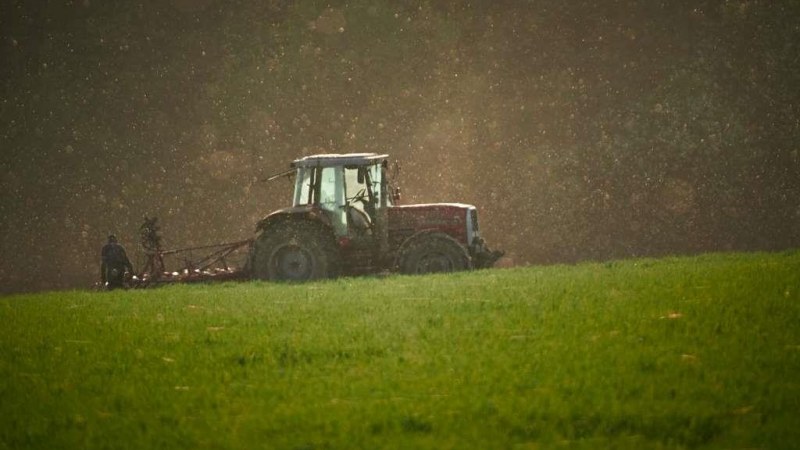 Állami támogatásban részesülnek a kezdő, fiatal gazdák