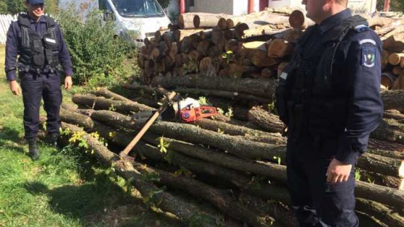 Egy hét alatt több mint 750 ellenőrzést végzett a rendőrség az illegális fakivágások megelőzése érdekében