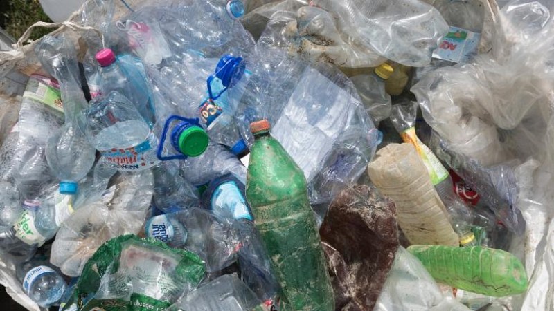 Világhírnév: 49 nap alatt bontja le a magyar fejlesztésű baktériumkoktél a műanyagot