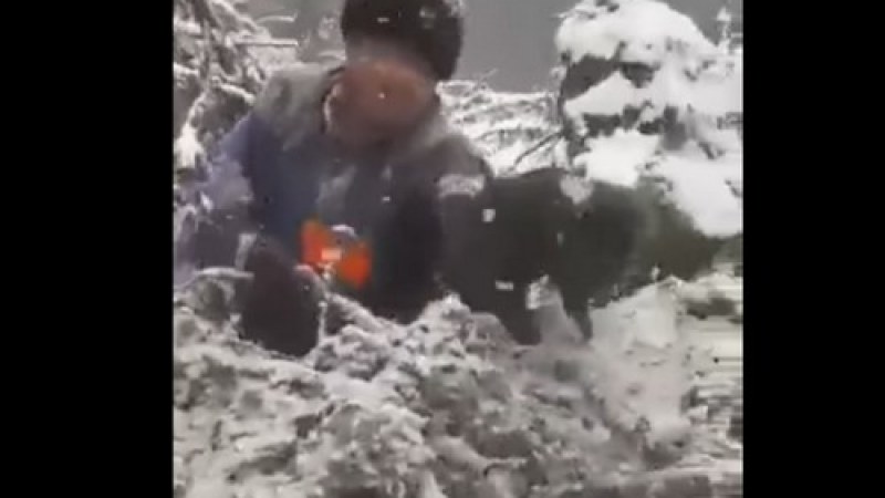 Nem találták meg a barlangból kidobott négy medvebocsot