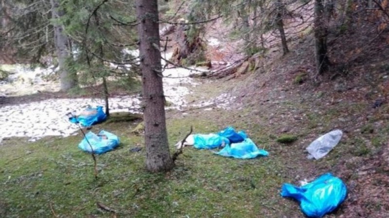 27 kutya tetemére bukkantak a Retyezát Nemzeti Parkban