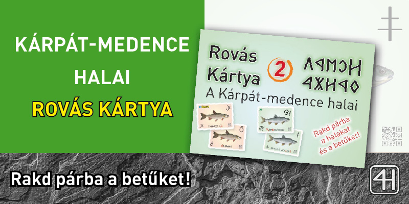 Rováskártya – A kárpát-medence halai