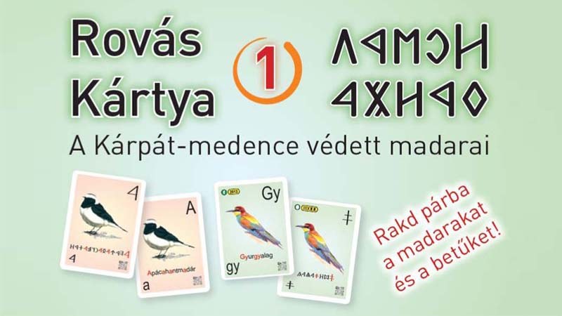 A Kárpát-medence védett madarai és a rovás [R]