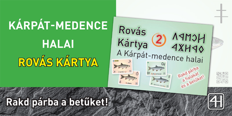 Rovás kártya 2 – Kárpát-medence halai