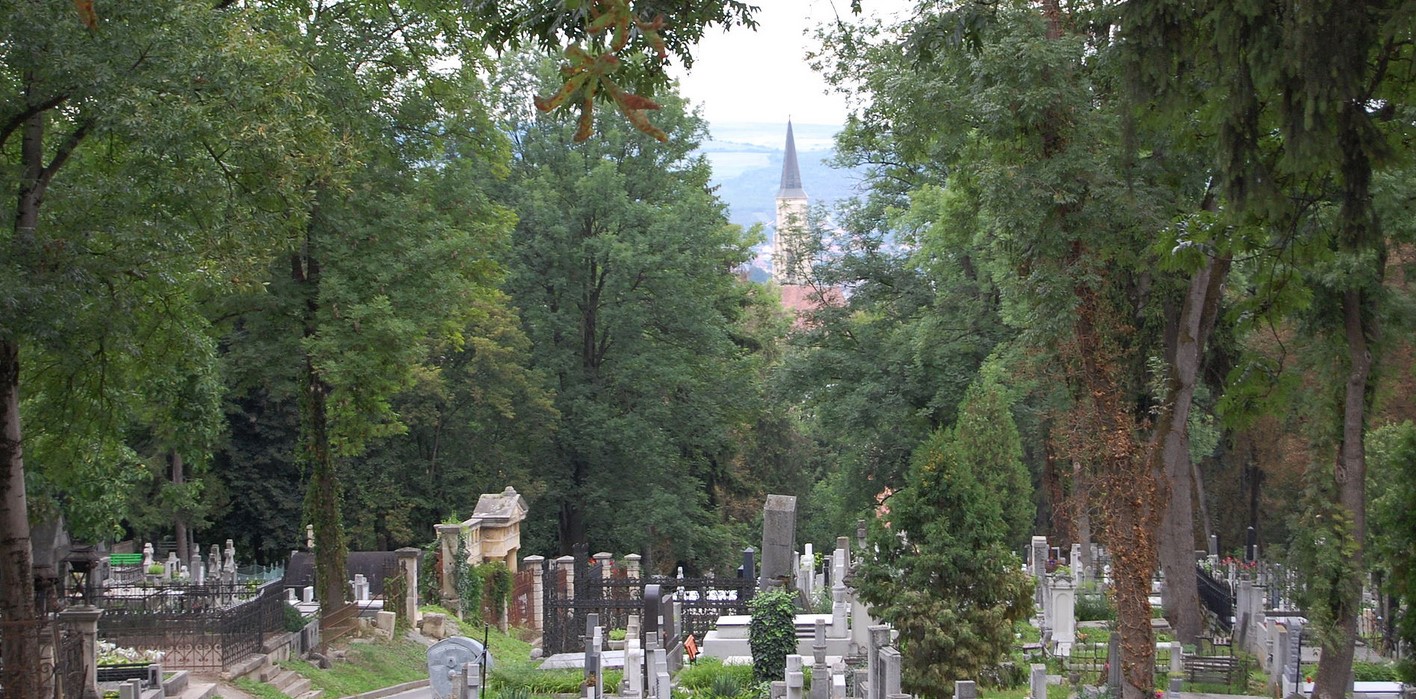 halalozás hazsongard