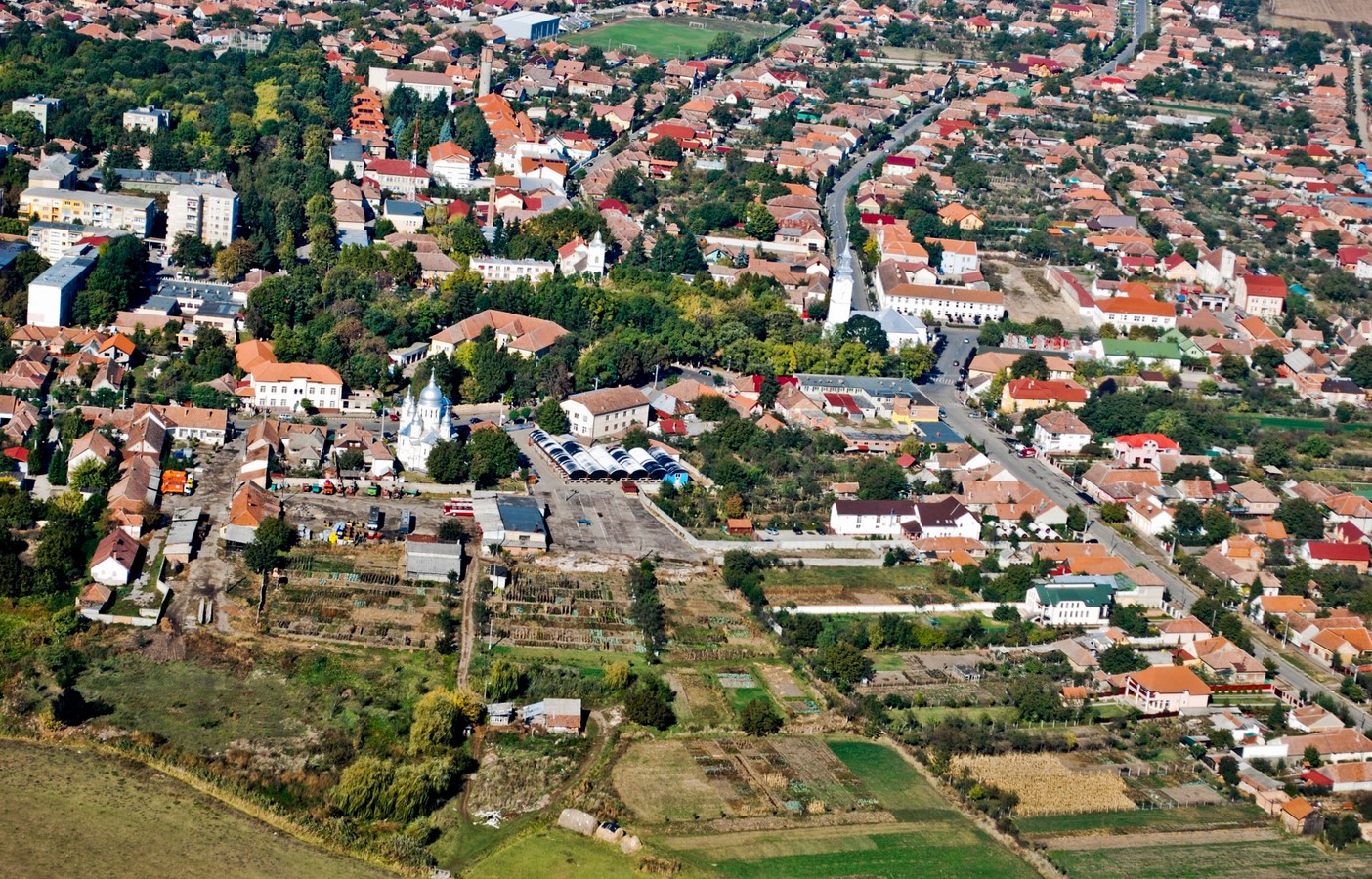 Margitta