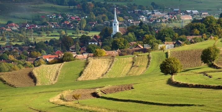 termőföld