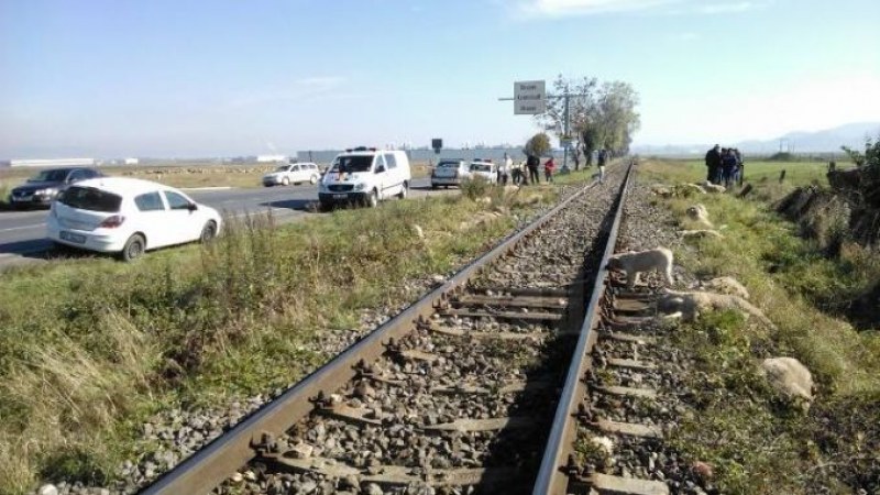 Juhnyájba rohant a vonat Erdélyben, a pásztor is meghalt a balesetben