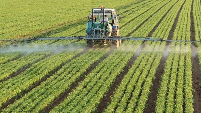 Tiltott növényvédő szerekkel kezelt vetőmagok kerülhetnek a földbe