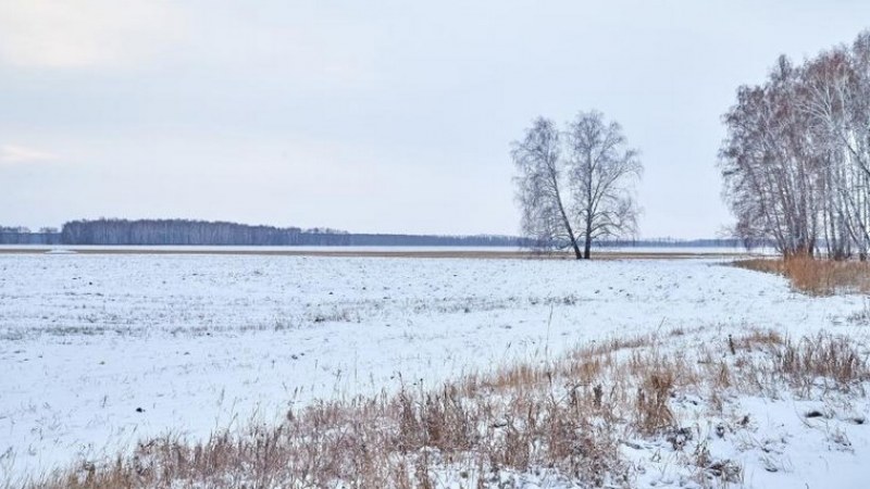 Napok óta eltűnt gyergyóalfalvi nő holttestét találták meg egy mezőn